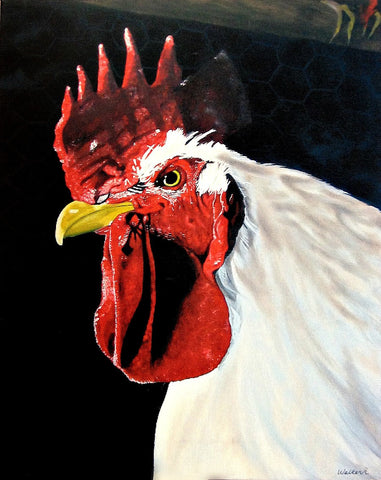 Animals