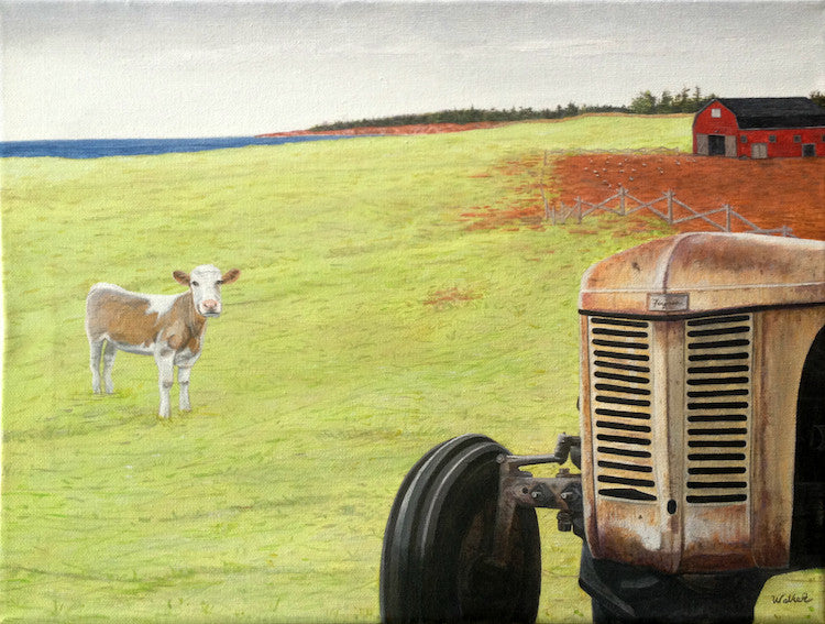 Coastal Cow